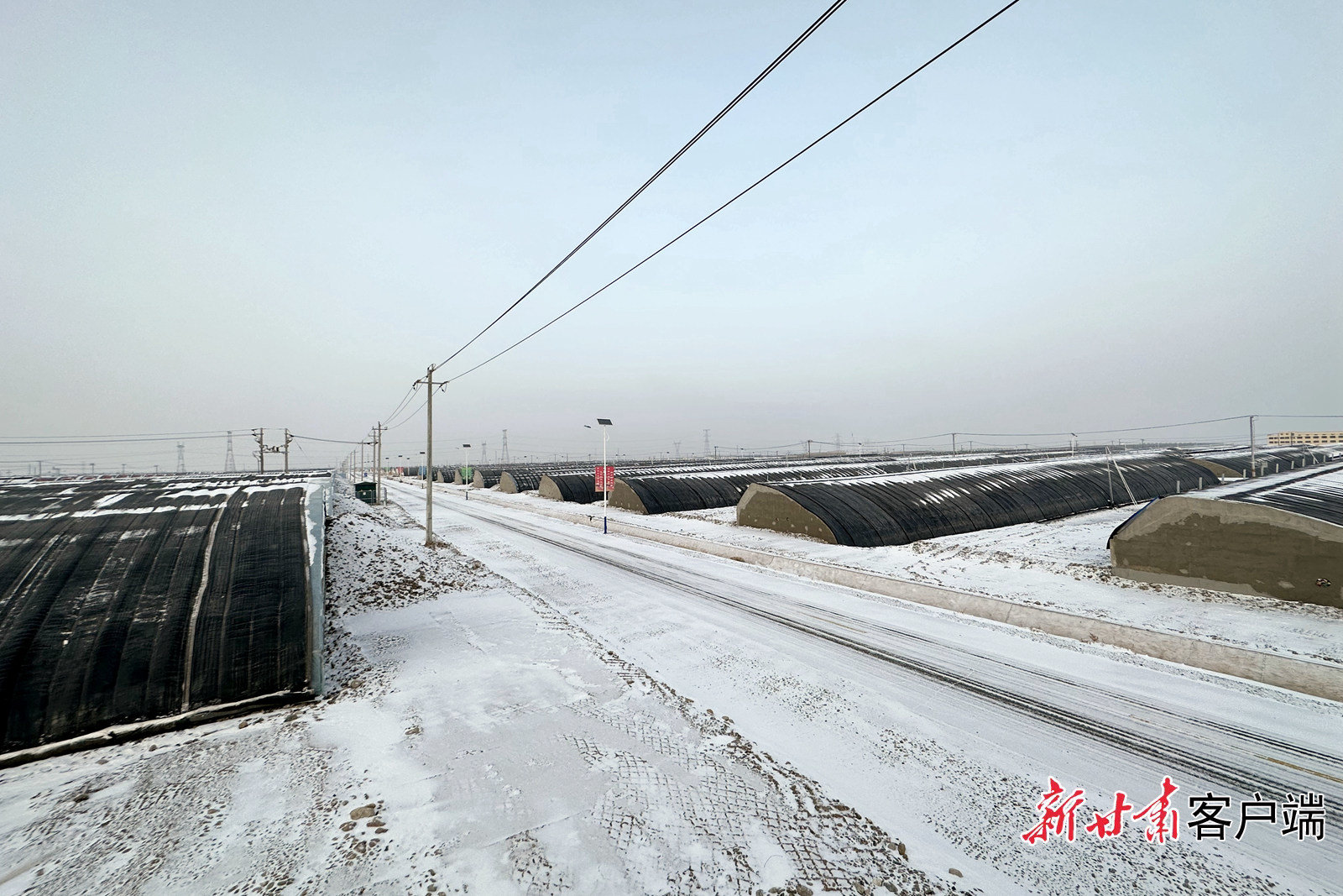 大棚外的戈壁上白雪皑皑 董文龙 摄