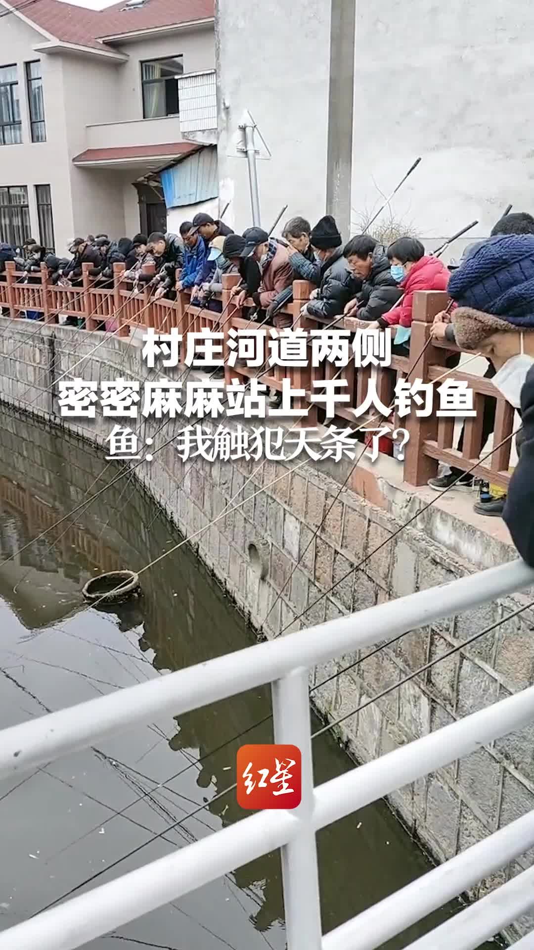 村庄河道两侧密密麻麻站上千人钓鱼 鱼：我触犯天条了？