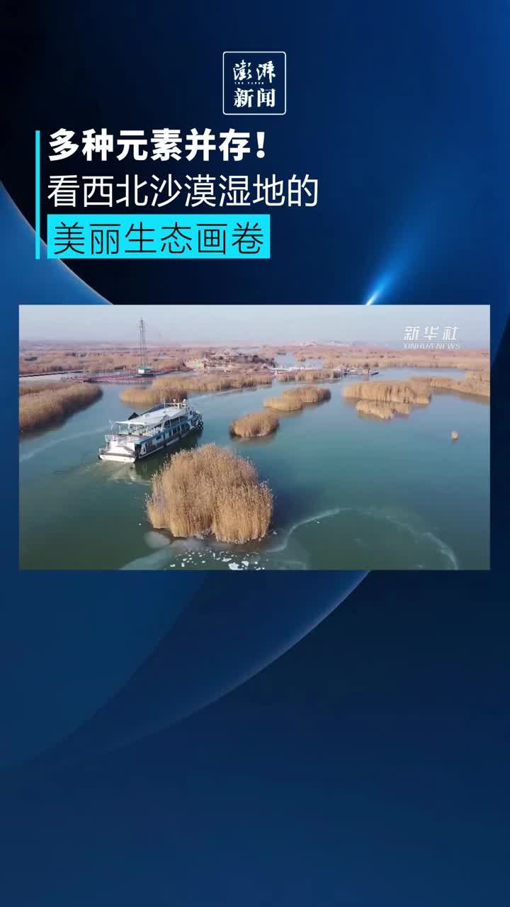 多种元素并存，看西北沙漠湿地的美丽生态画卷