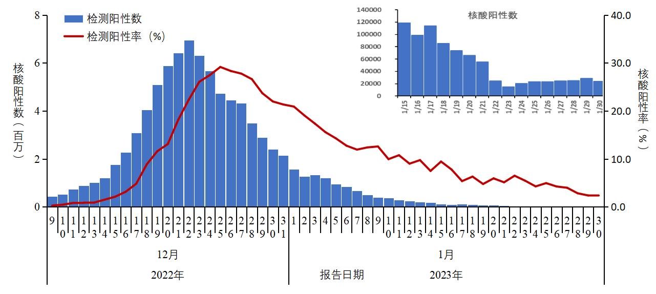 图1-1全国报告人群新型冠状病毒核酸检测阳性数及阳性率变化趋势