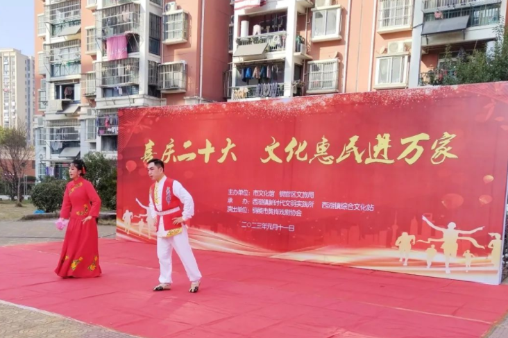 铜陵市铜官区西湖镇：开展“文化惠民进万家”暨“老有所学”宣传活动
