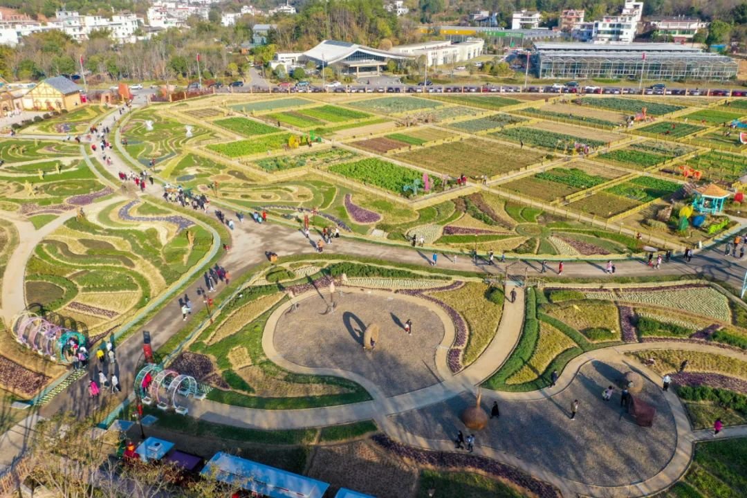 赣州蓉江新区：以新担当、新作为推进新区高质量跨越式发展