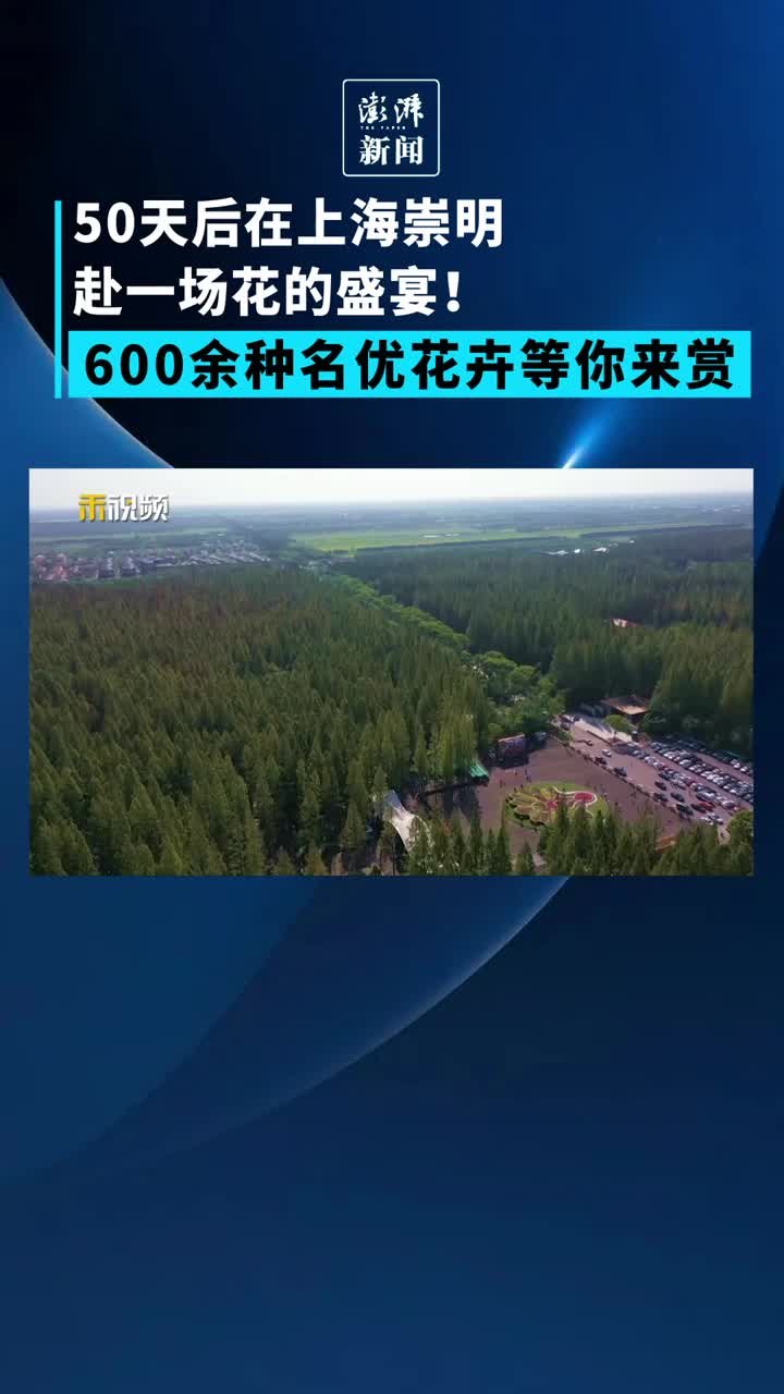 50天后在上海崇明赴场“花之约”！600余种花卉等你来赏