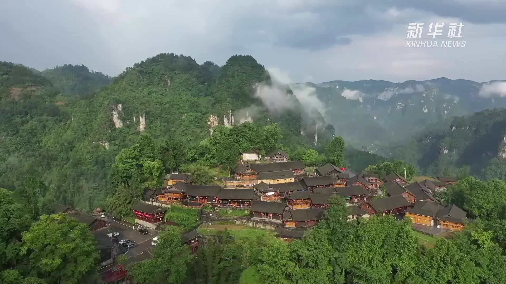 乡村振兴之路｜“头雁”引领，乡村振兴迸发新活力