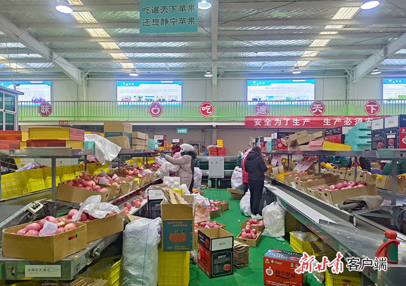 工人们忙而有序地分拣、装箱 新甘肃&middot;甘肃日报记者 田丽媛 摄