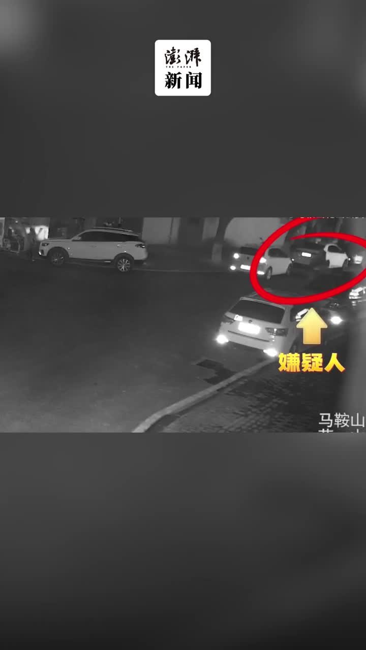 家境殷实男子醉酒后为寻刺激深夜“拉车门”盗窃