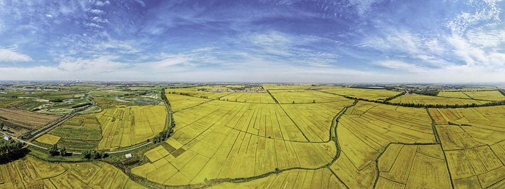 图为九台区龙嘉街道红光村高标准农田现代农业示范园区. 张扬 摄