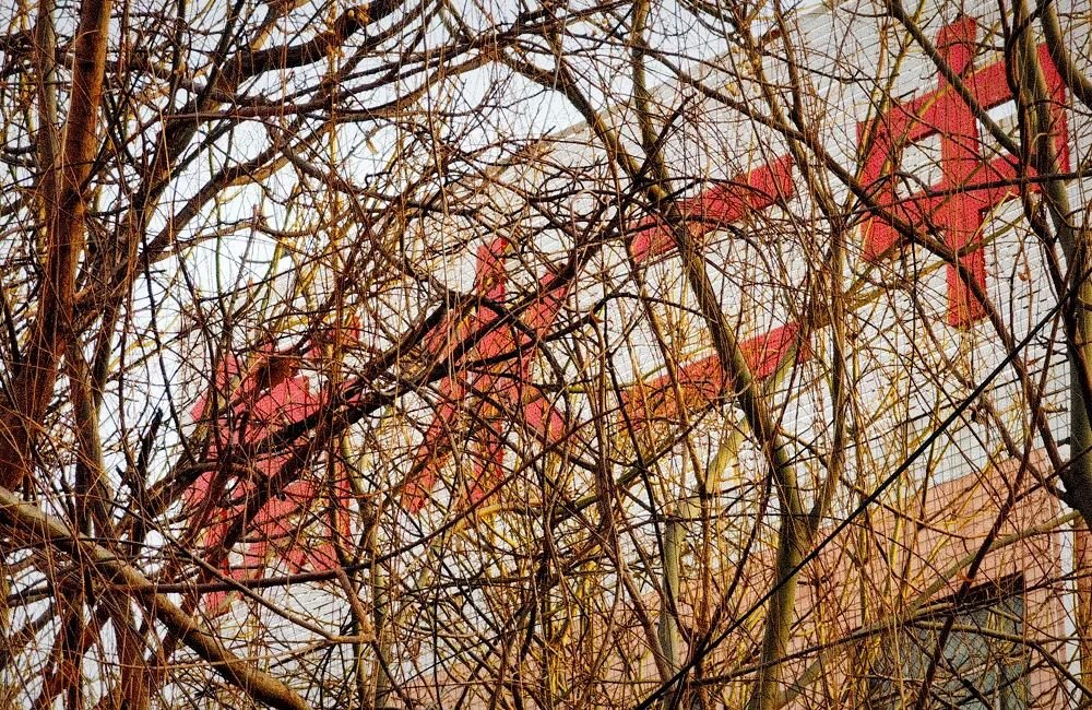 争议衡水二中:体罚、铁栏杆,和离职的老师