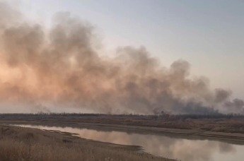 五星农垦场附近草洲火势蔓延