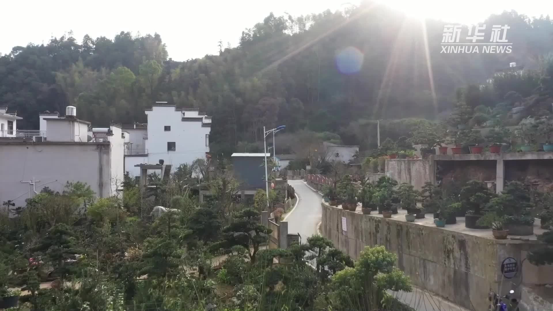 乡村振兴之路｜青年返乡，为乡村振兴注入新活力