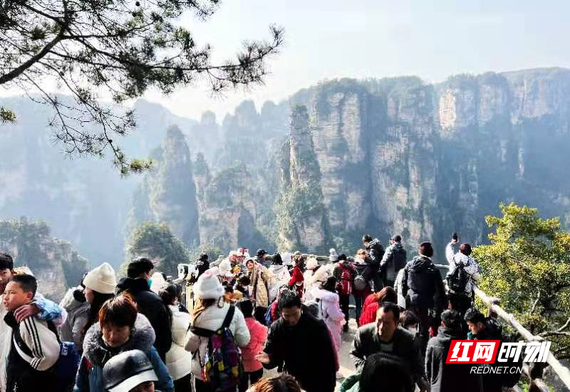 微信图片_20230128165526.jpg
