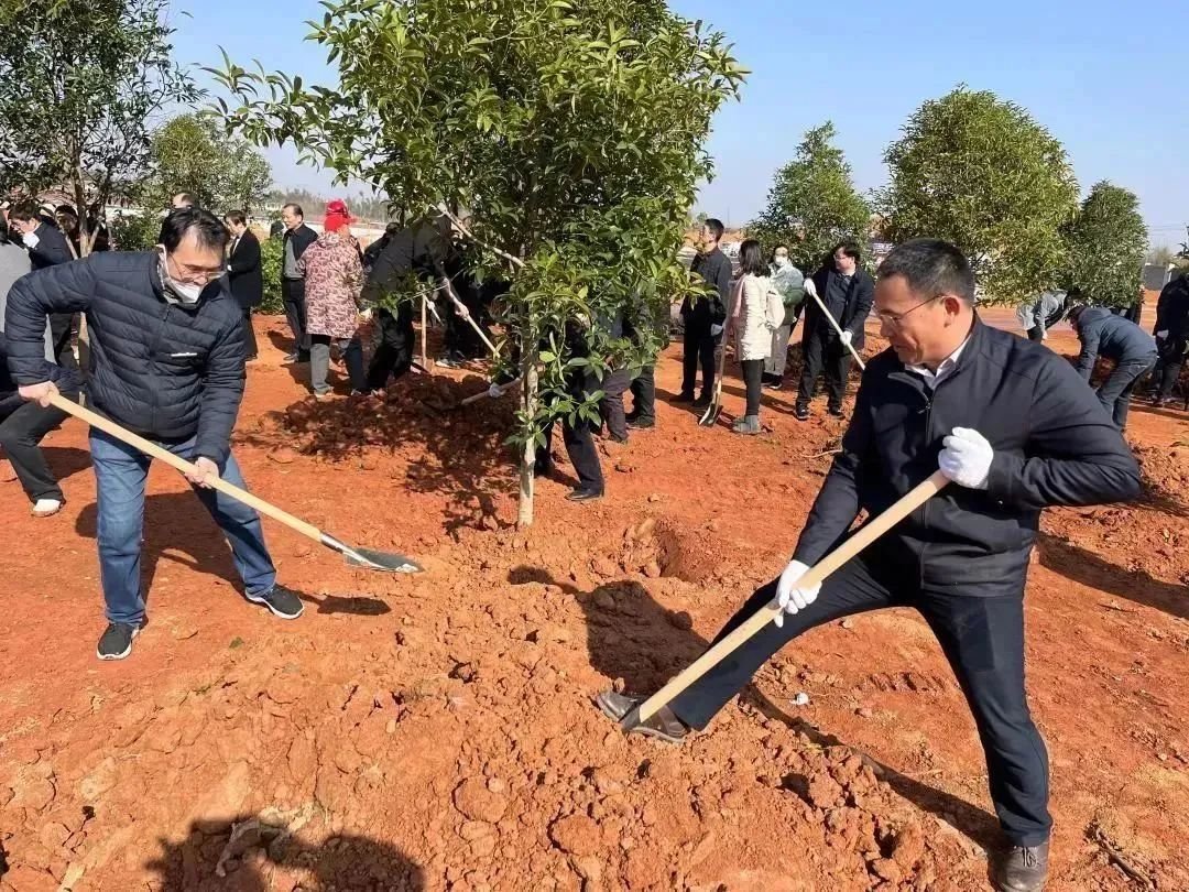 节后首个工作日，省委教育工委、省教育厅在江西机电职院新校区开展2023年新春义务植树活动