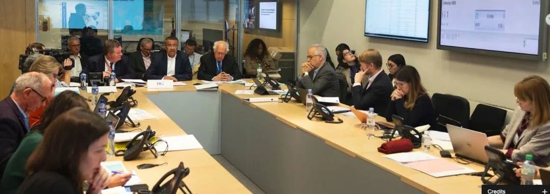 世界卫生组织 图