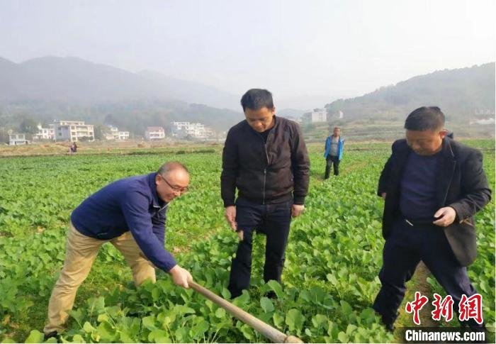服务下沉农资水利先行湖南溆浦人勤春早备耕忙