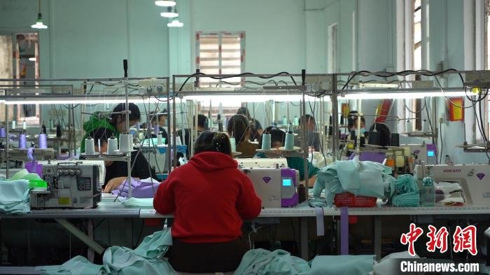 图为康乐村一制衣厂工人正在赶货 何俊杰 摄