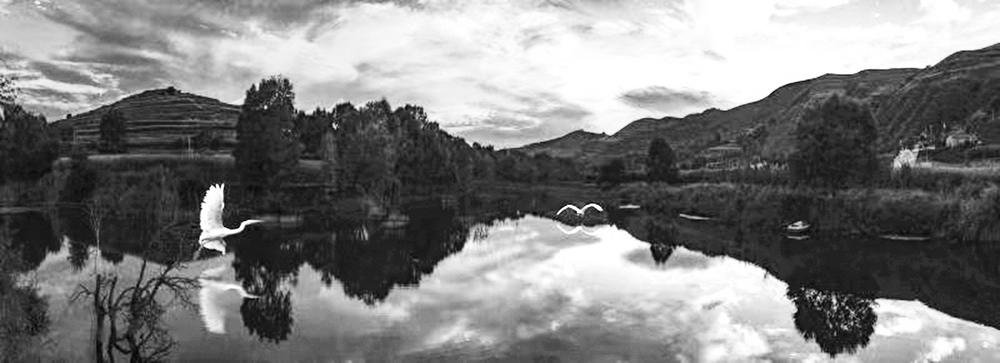 沿陕甘驿道一路向西 "绿化大师"左宗棠种下三千里杨柳