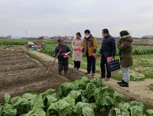 南昌县三江镇：东方风来满眼春 蔬菜之乡产销忙