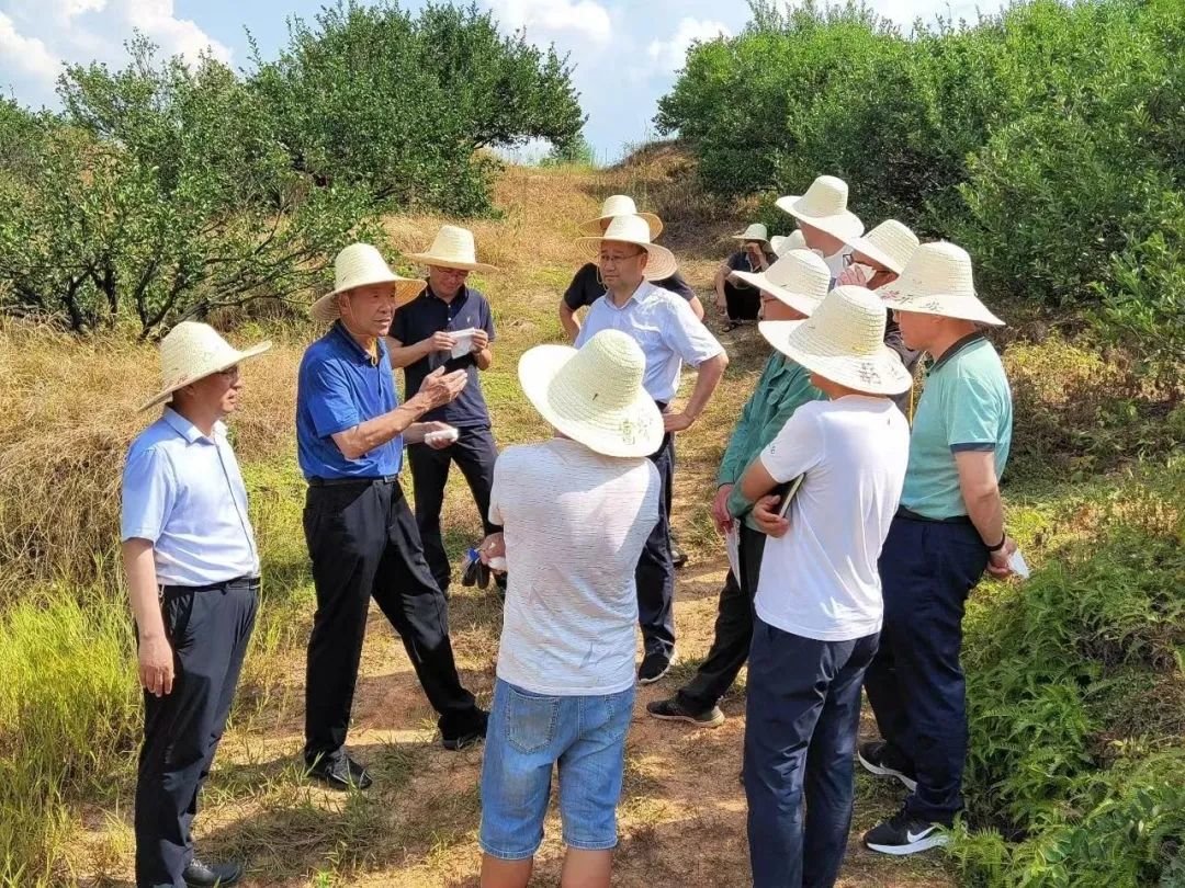 董事长刘兴旭田间考察