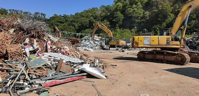 邹晋的囤货(图源:邹晋)