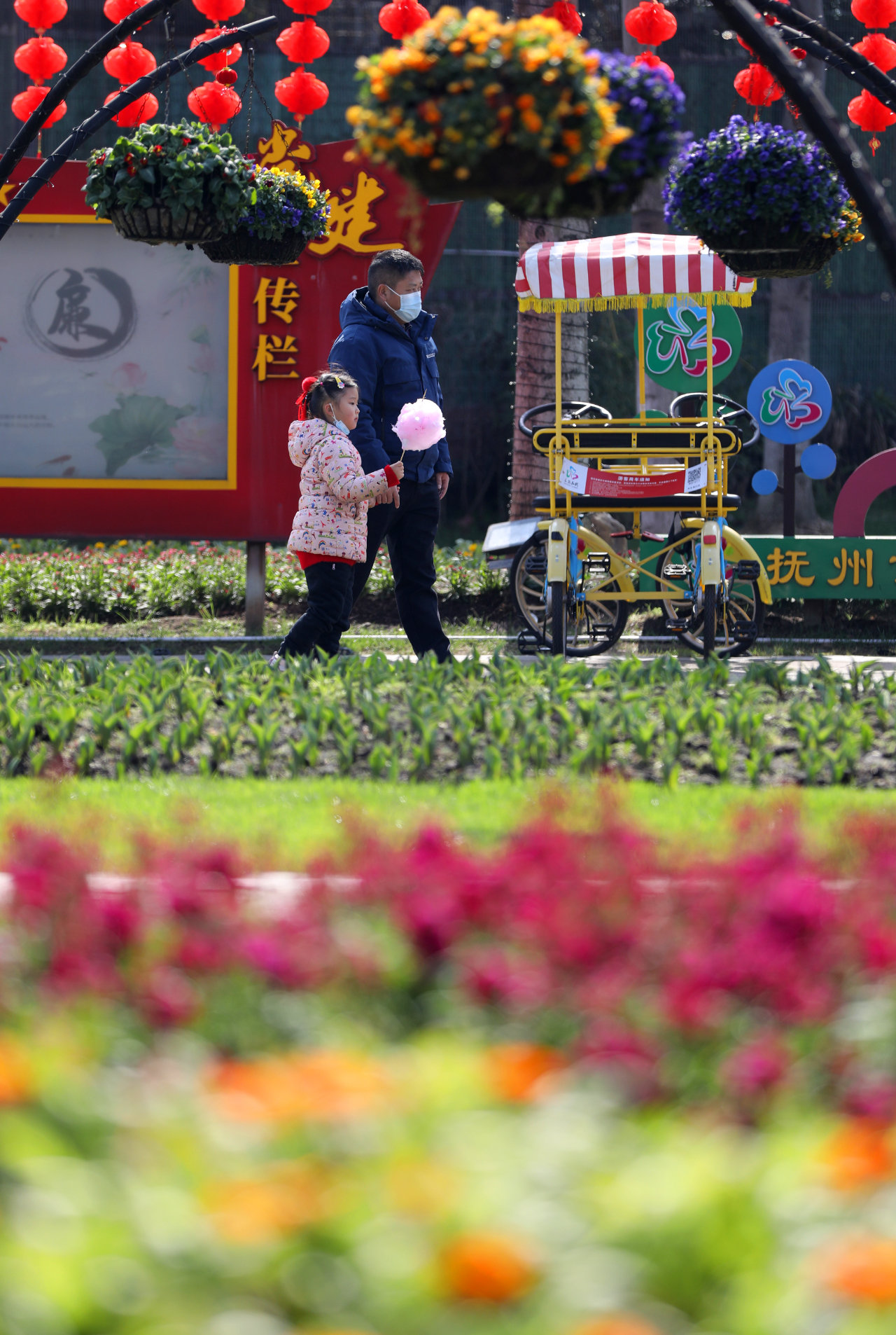 市民在三翁花园赏花游玩