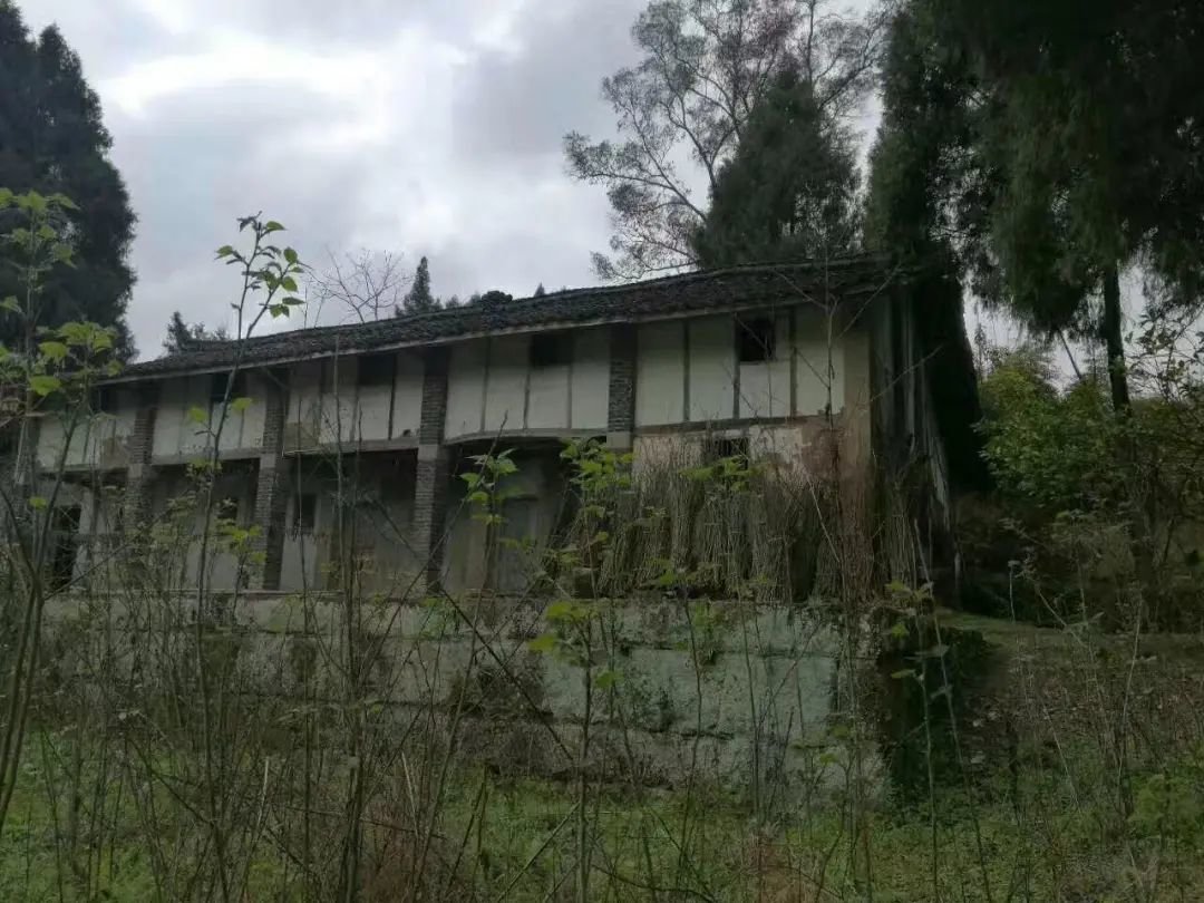 图片来源自网络