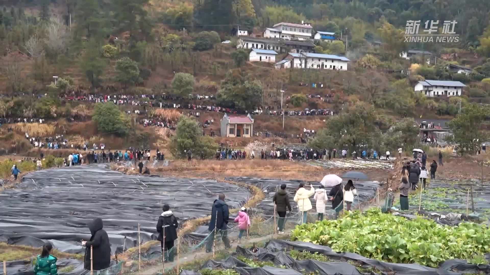 大美非遗｜传承数百年的非遗项目抢花炮激情上演