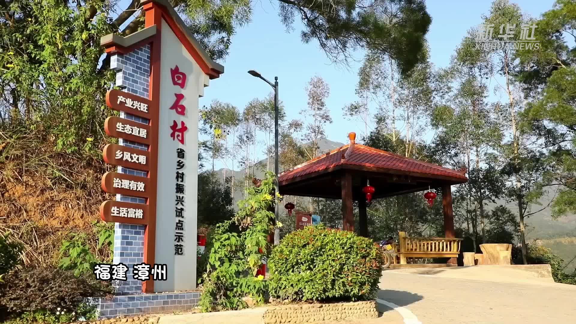 千城百县看中国｜福建云霄：2000株樱花迎风绽放