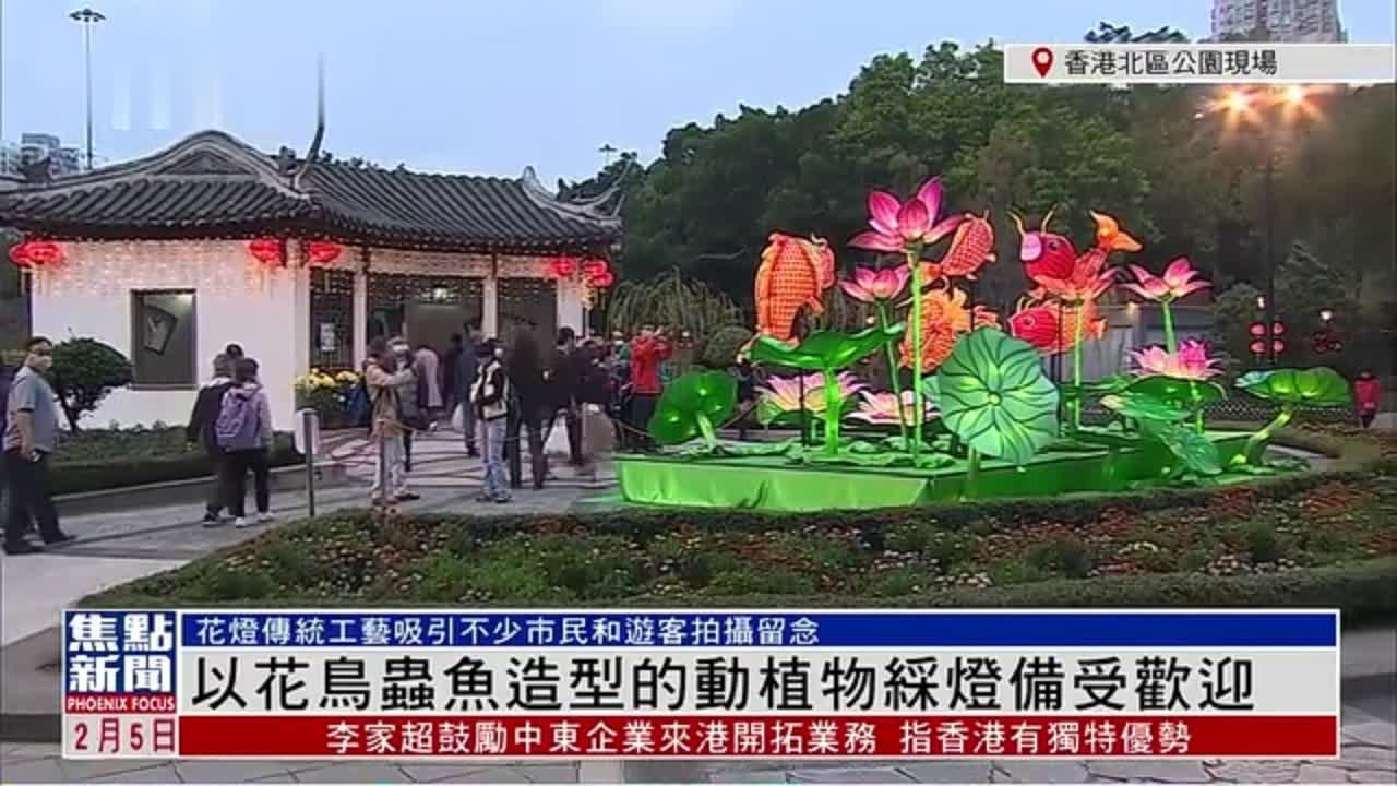 记者连线｜香港北区公园以花鸟虫鱼造型的动植物彩灯备受欢迎