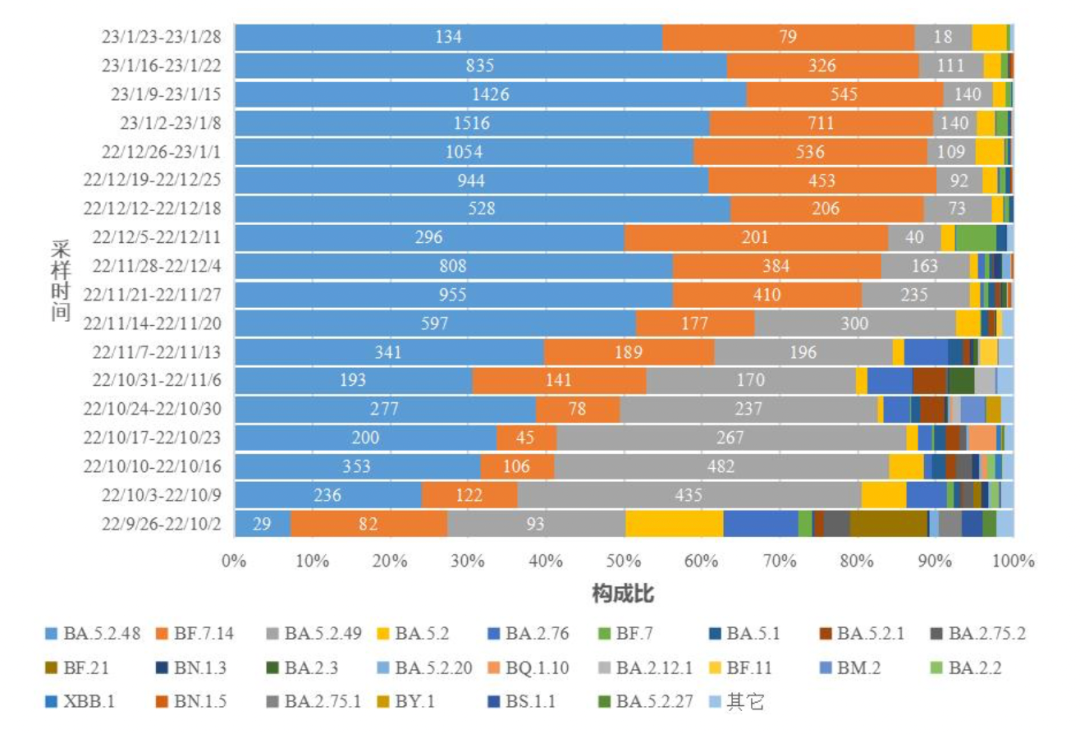 全国新型冠状病毒变异株变化趋势图,BA.5.2.48、BF.7.14和BA.5.2.49为主要流行株/截自中国疾病预防控制中心