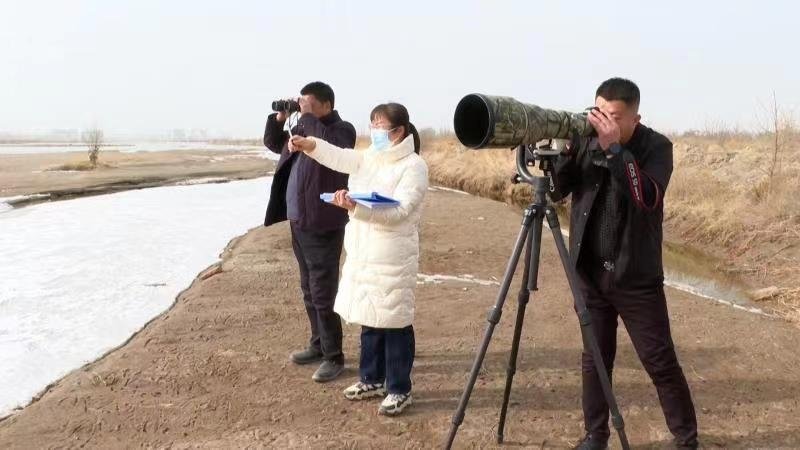 甘肃张掖高台万鸟迁徙奏响“生态交响曲”(19915136)-20230209200040.jpg