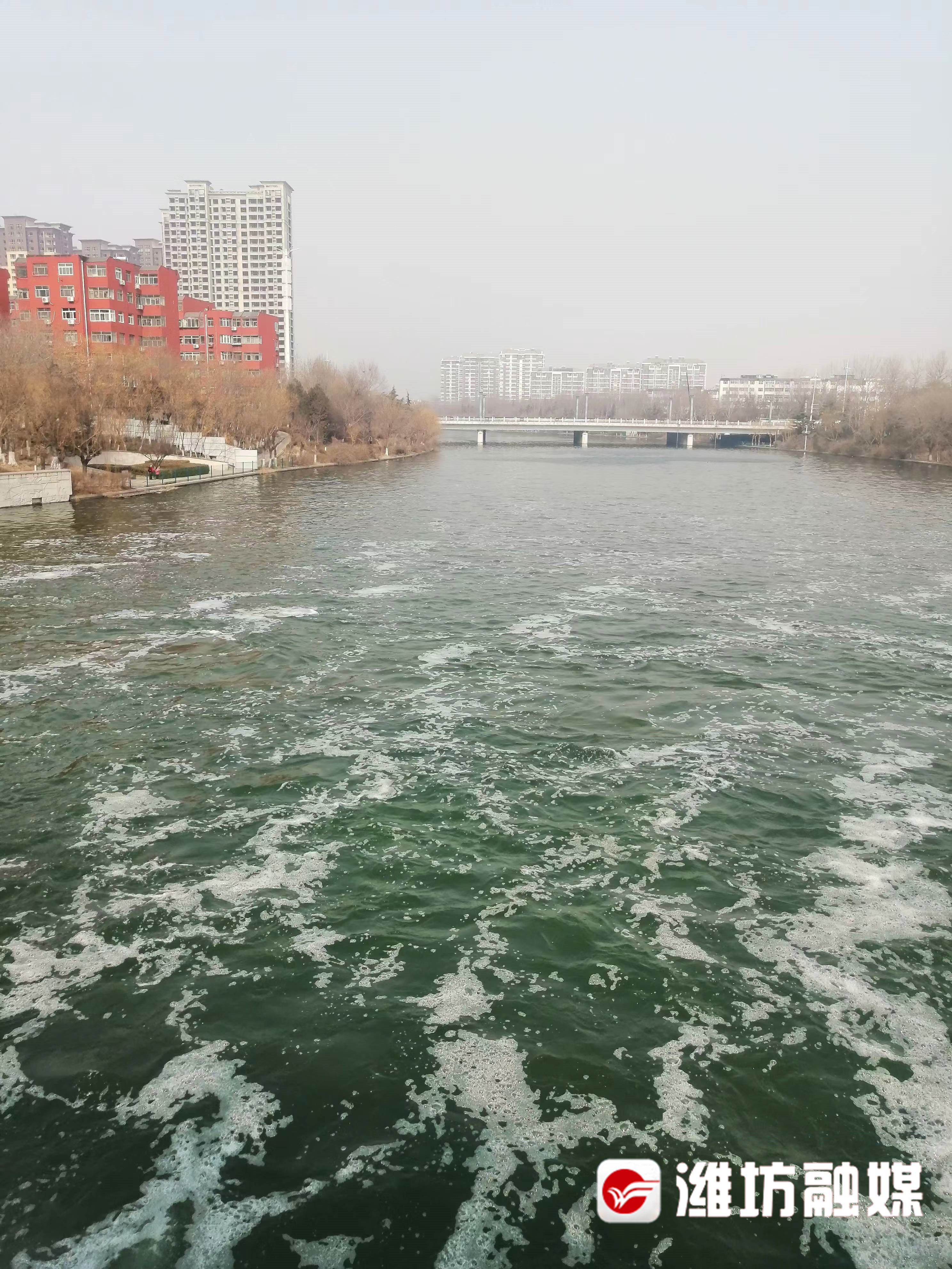 2月6日，白浪河福寿街河段仍有大量景观水。