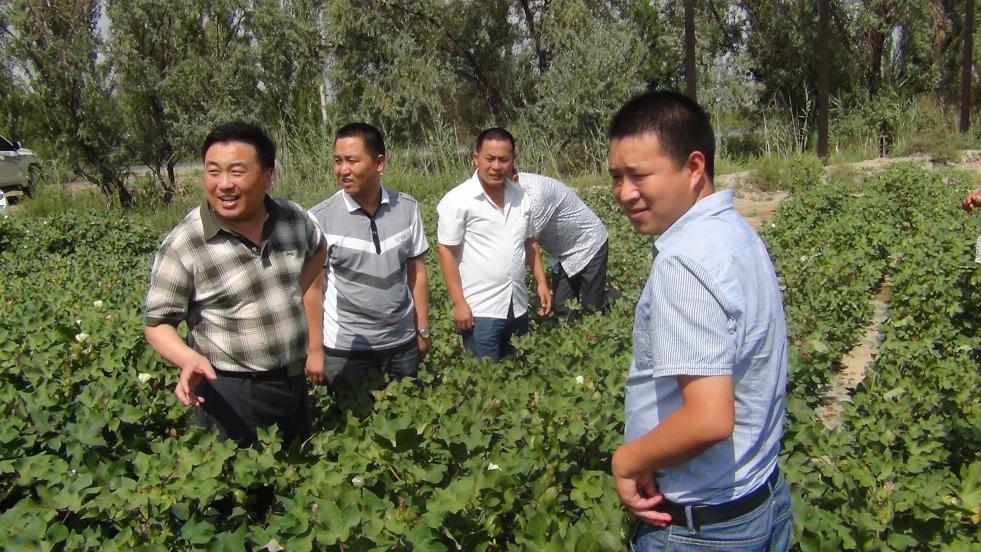 总经理张庆金走访新疆农户