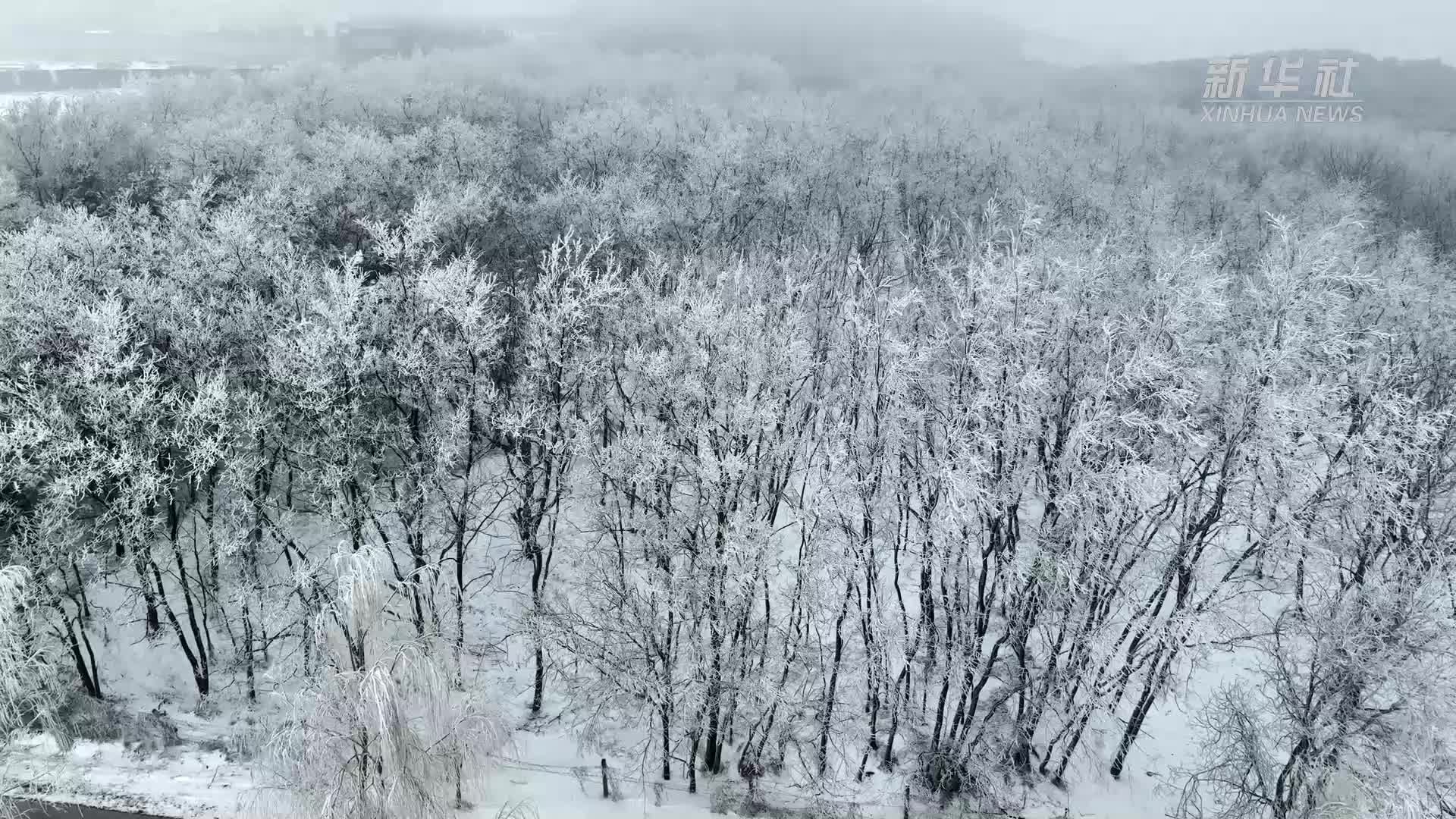 中条山雪凇景观美不胜收