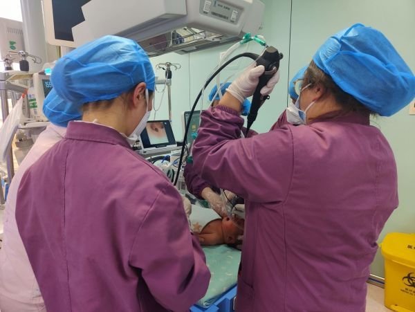 黄陂区人民医院新生儿科为出生一天的患儿行支气管镜检查+肺泡灌洗术。