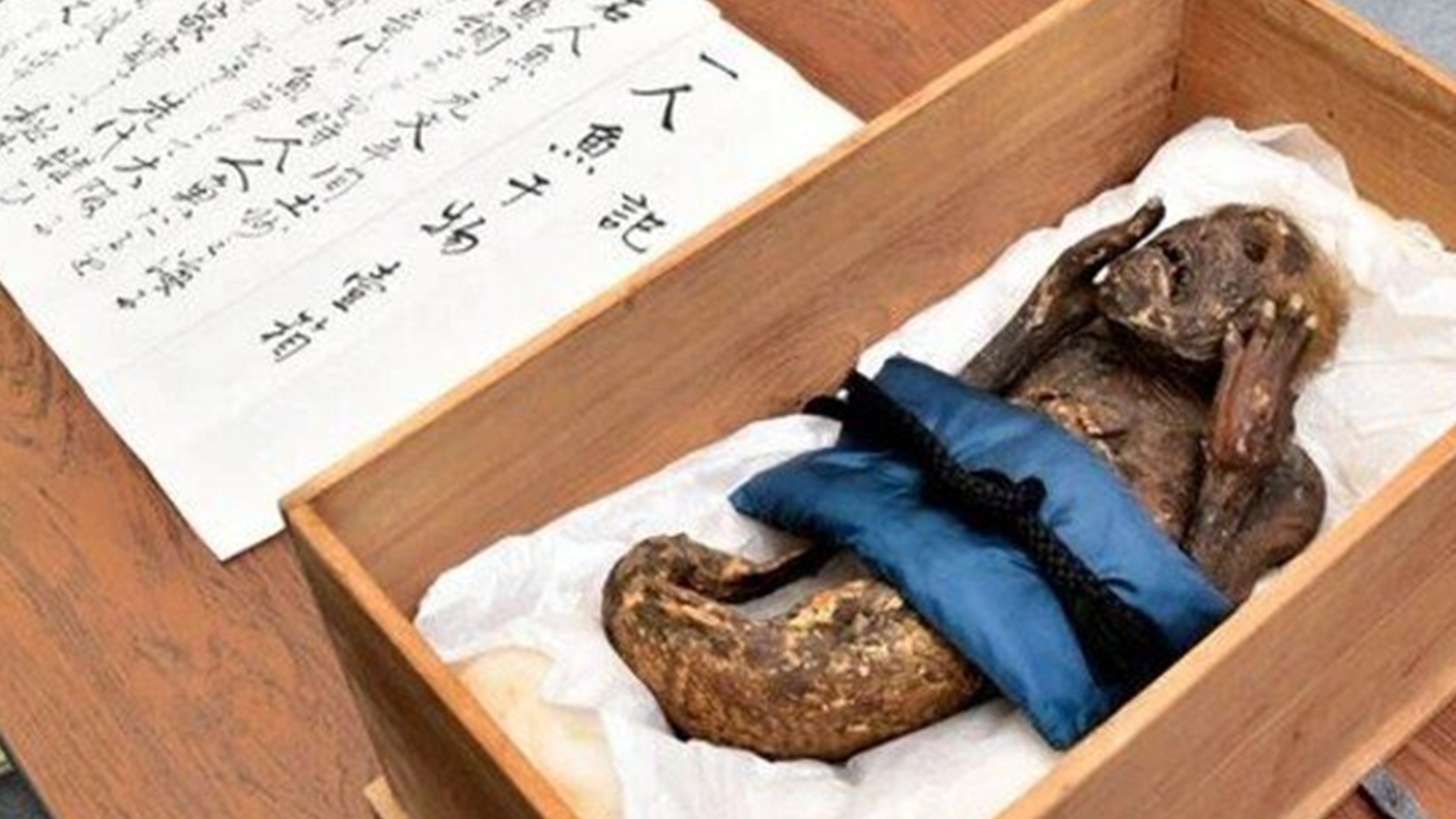 日本300岁美人鱼木乃伊 原来是“人造产物”