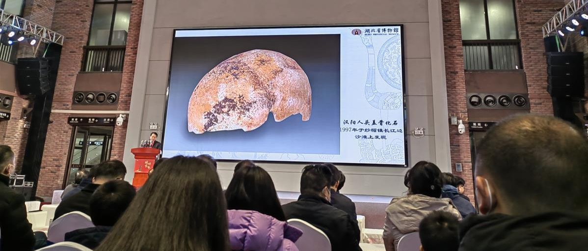 现场展示的“汉阳人”头盖骨化石