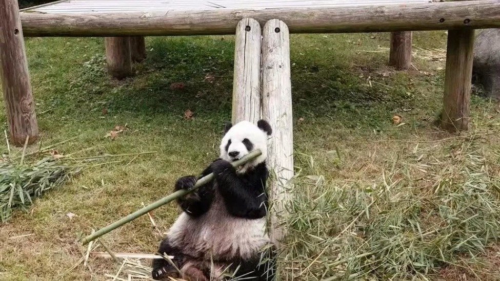 一觉醒来,美国传来两个不寻常的消息_凤凰网