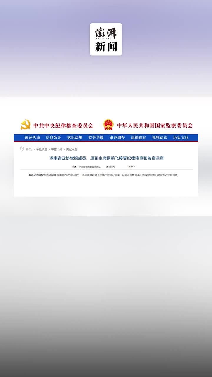 湖南省政协原副主席易鹏飞落马