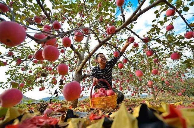 在央视秀“诗”力的农民工大哥 从工地走出逆袭人生