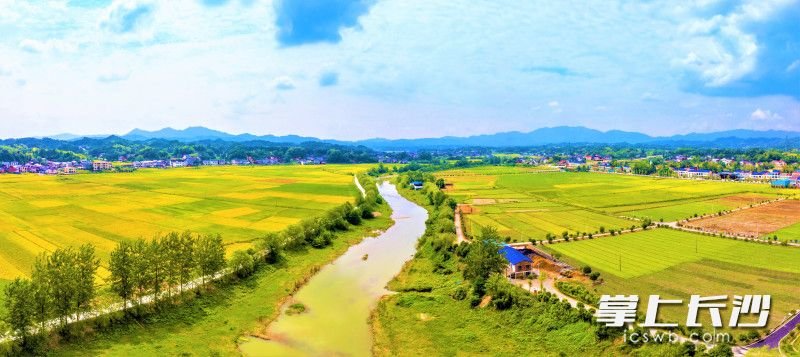 沿着秀美的楚江河流域，宁乡流沙河镇正在连线连片打造乡村振兴楚江示范片。 长沙晚报全媒体记者 陈飞 摄