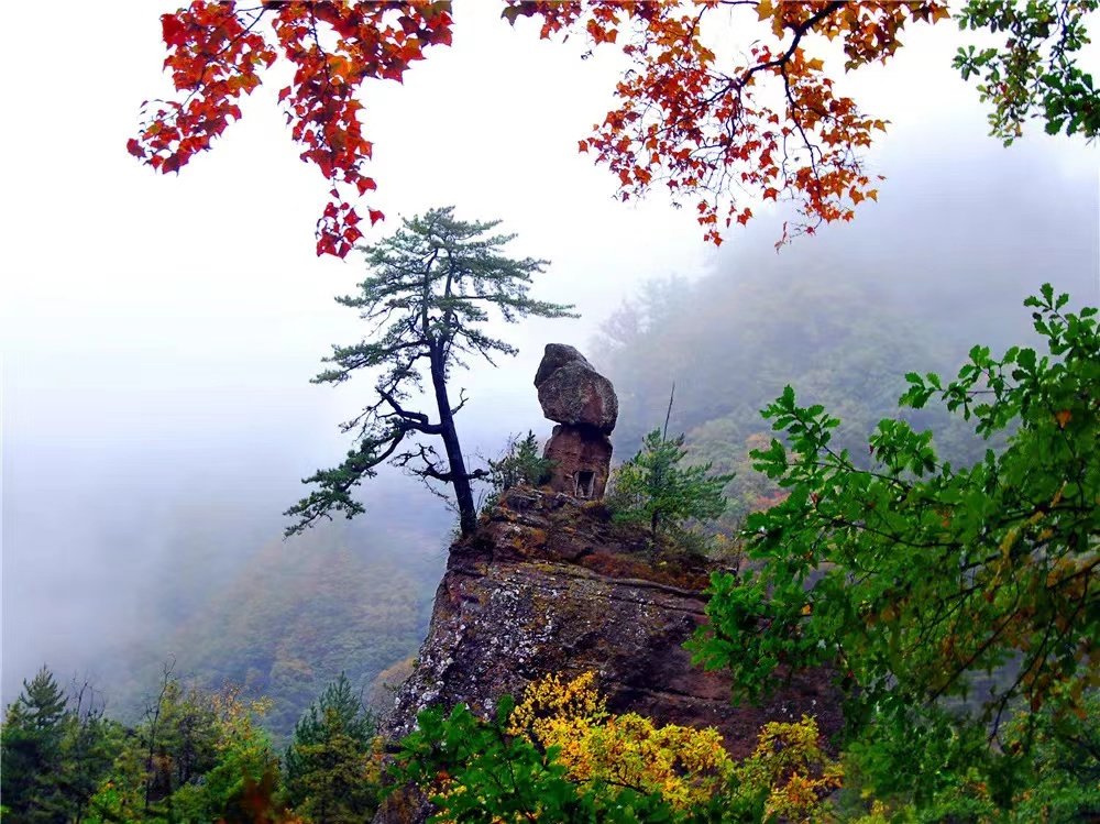 全国舞台秀"诗"力 小山村走出来的农民工大哥底气何在