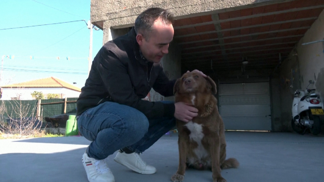 最长寿狗狗以30岁高龄破吉尼斯纪录