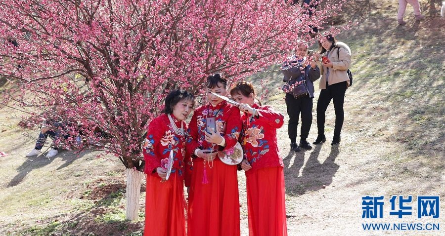 游客和梅花合影。新华网发 郭先明 摄