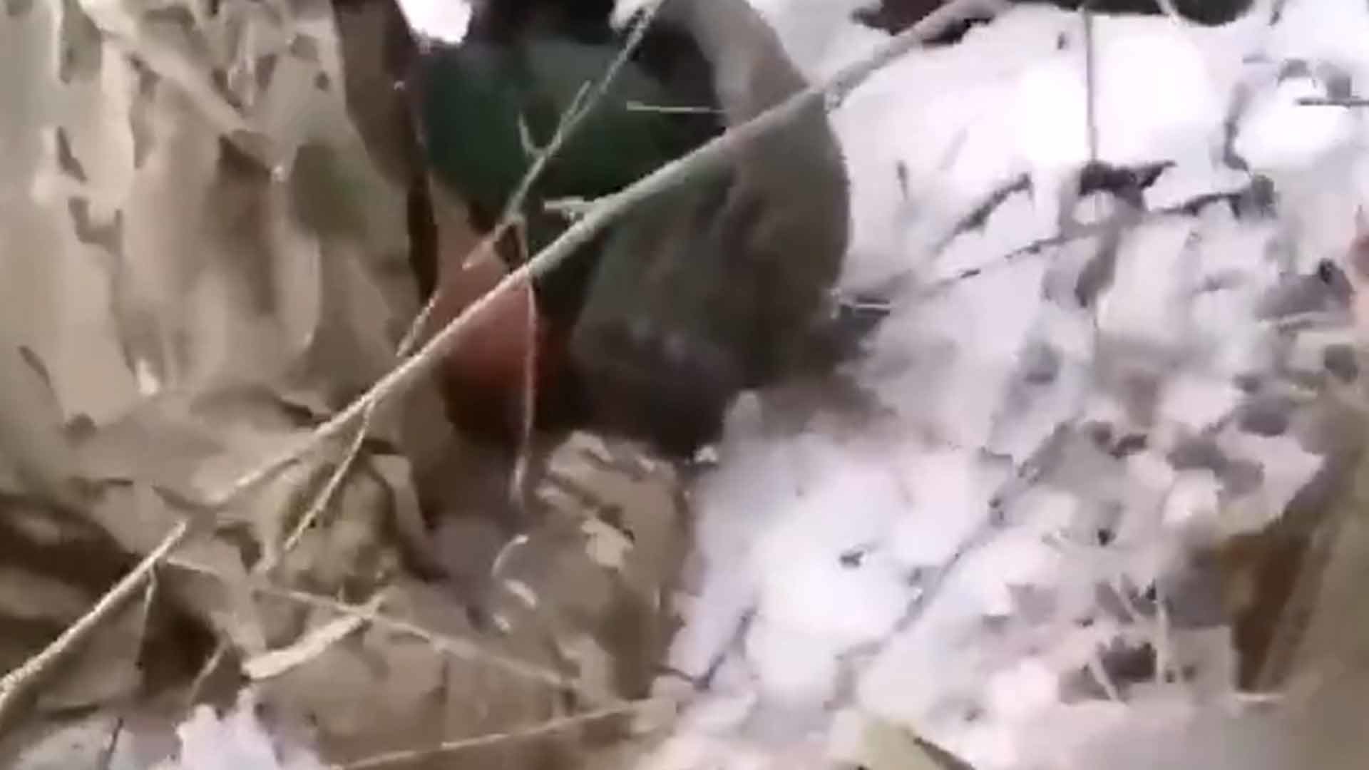 网传乌军射杀投降俄军人 俄外交部：毫无人性！可耻之极