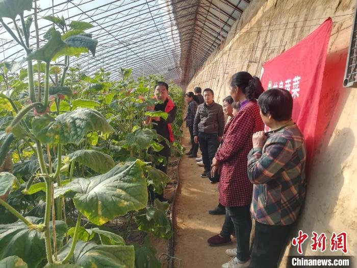 陕西：农机人员“问诊把脉”“田间课堂”助农民科学种植