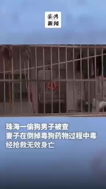 女子帮丈夫销毁毒狗药时中毒身亡，房东回应