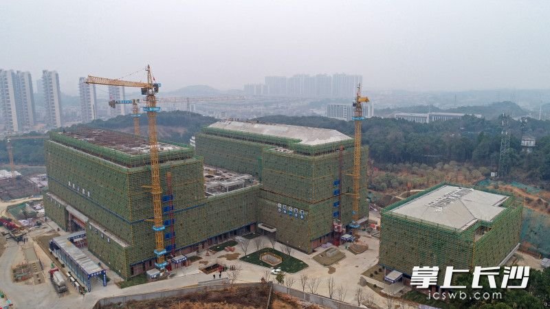 长沙以项目为支撑打好经济增长主动仗