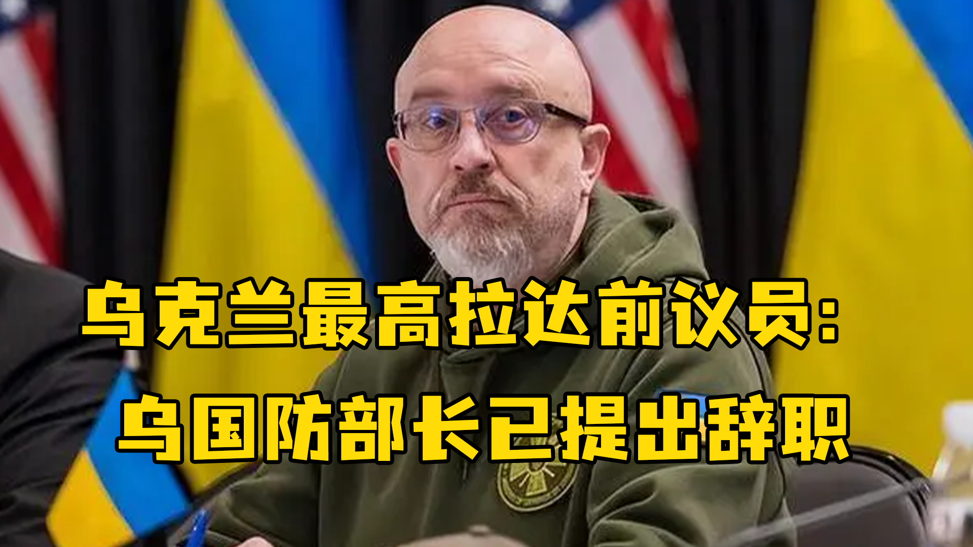 乌克兰最高拉达前议员：乌国防部长已提出辞职