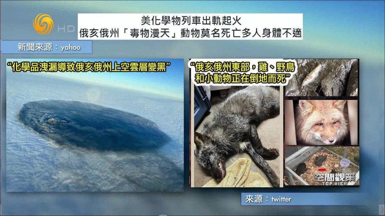 美化学物列车出轨起火，俄亥俄州“毒物漫天”，动物莫名死亡