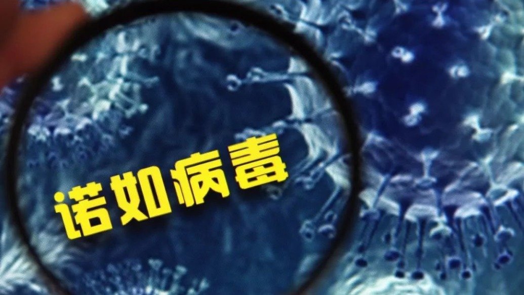 中疾控最新提醒：诺如病毒进入高发期 酒精对它无效！_凤凰网